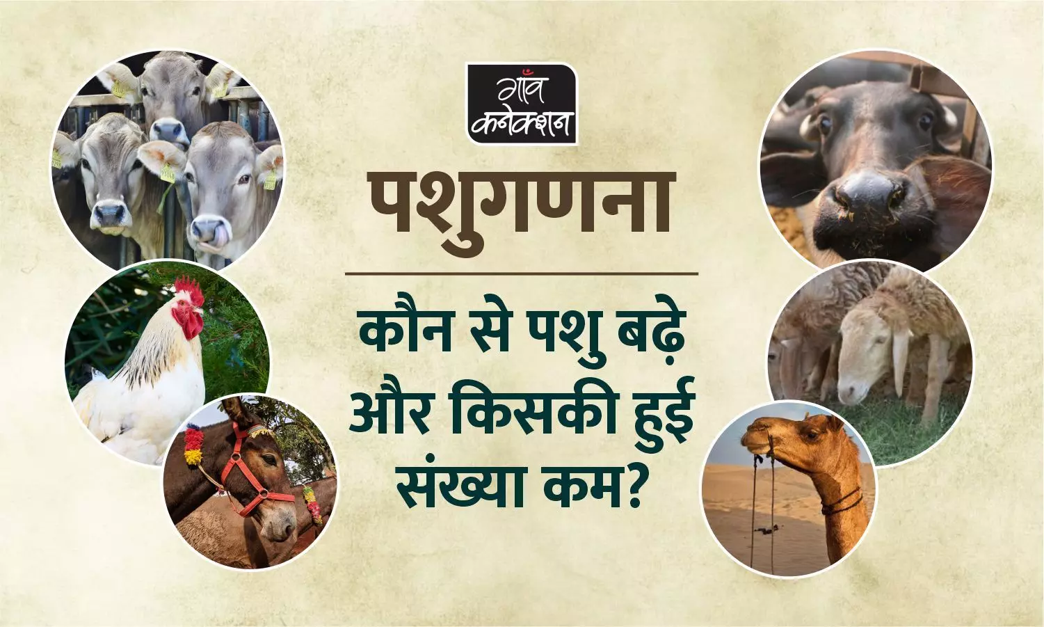 20वीं पशुगणना: देश में 18 फीसदी बढ़ी गायों की संख्या, 61 फीसदी घटे गधे
