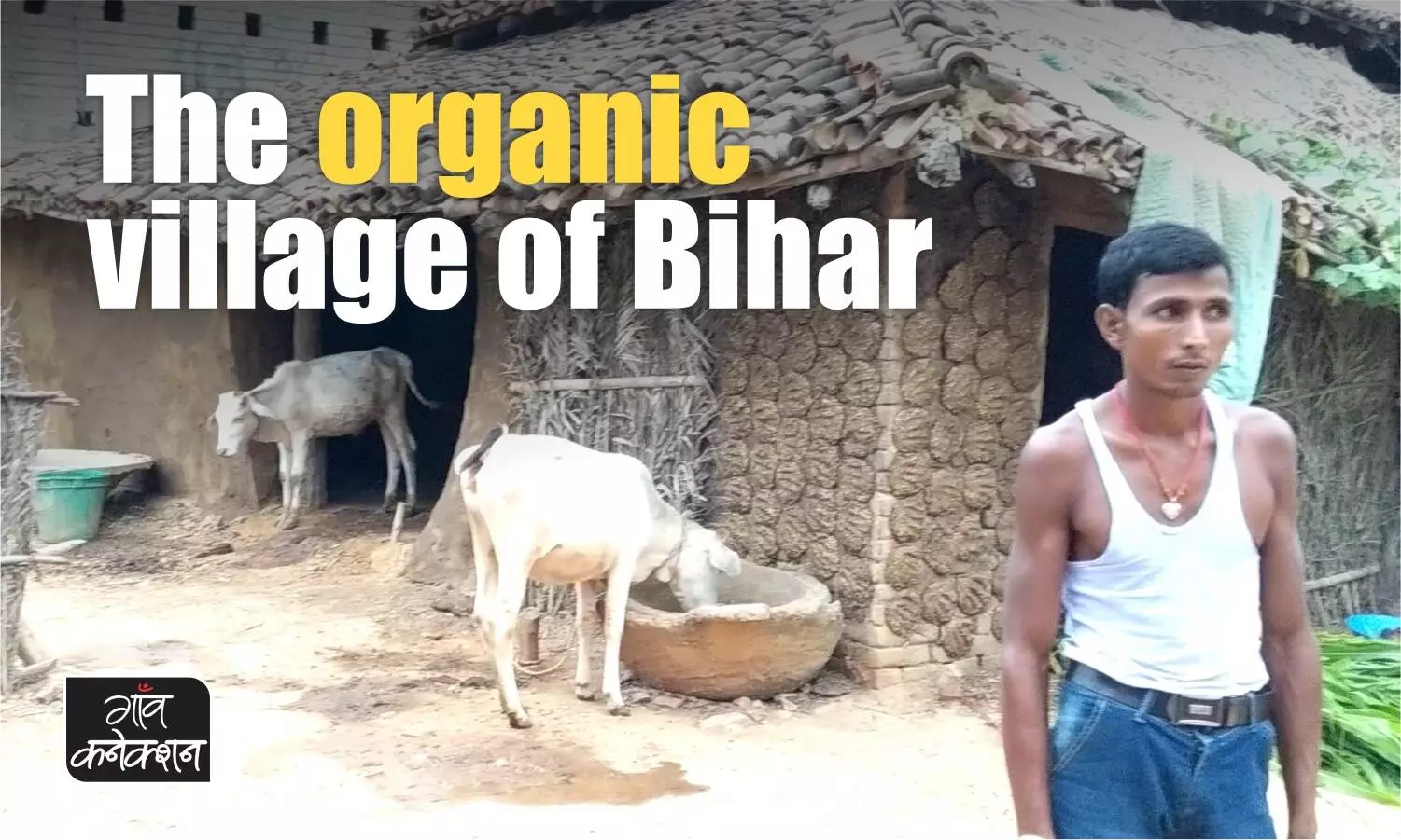 A village in Bihar switches to organic farming, sets an example