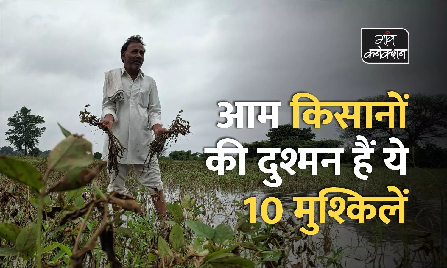 आम किसानों की दुश्मन हैं ये 10 मुश्किलें