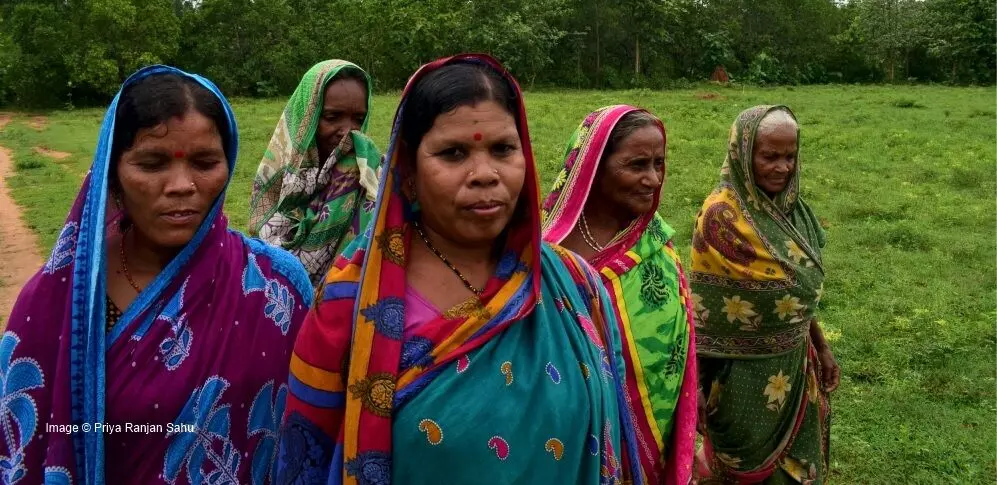 टिम्बर माफियाओं के खिलाफ मुहिम छेड़कर ओडिशा की महिलाओं ने बचाया अपना जंगल