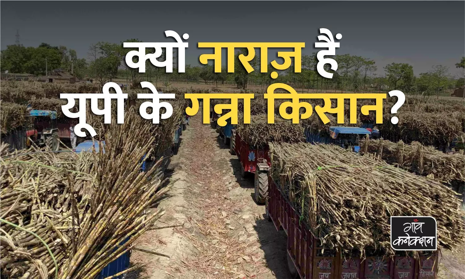 उत्तर प्रदेश: भाजपा के 6 साल के कार्यकाल में सिर्फ 20 रुपए प्रति कुंतल बढ़ा गन्ने का रेट