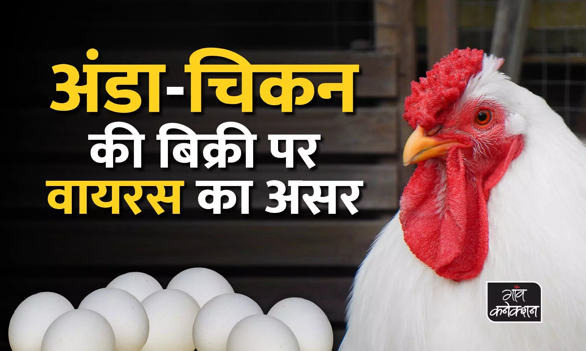 कोरोना वायरस के डर से लोगों ने कम किया अंडा-चिकन खाना, दस से पचास रुपए किलो तक में बिक रहा चिकन