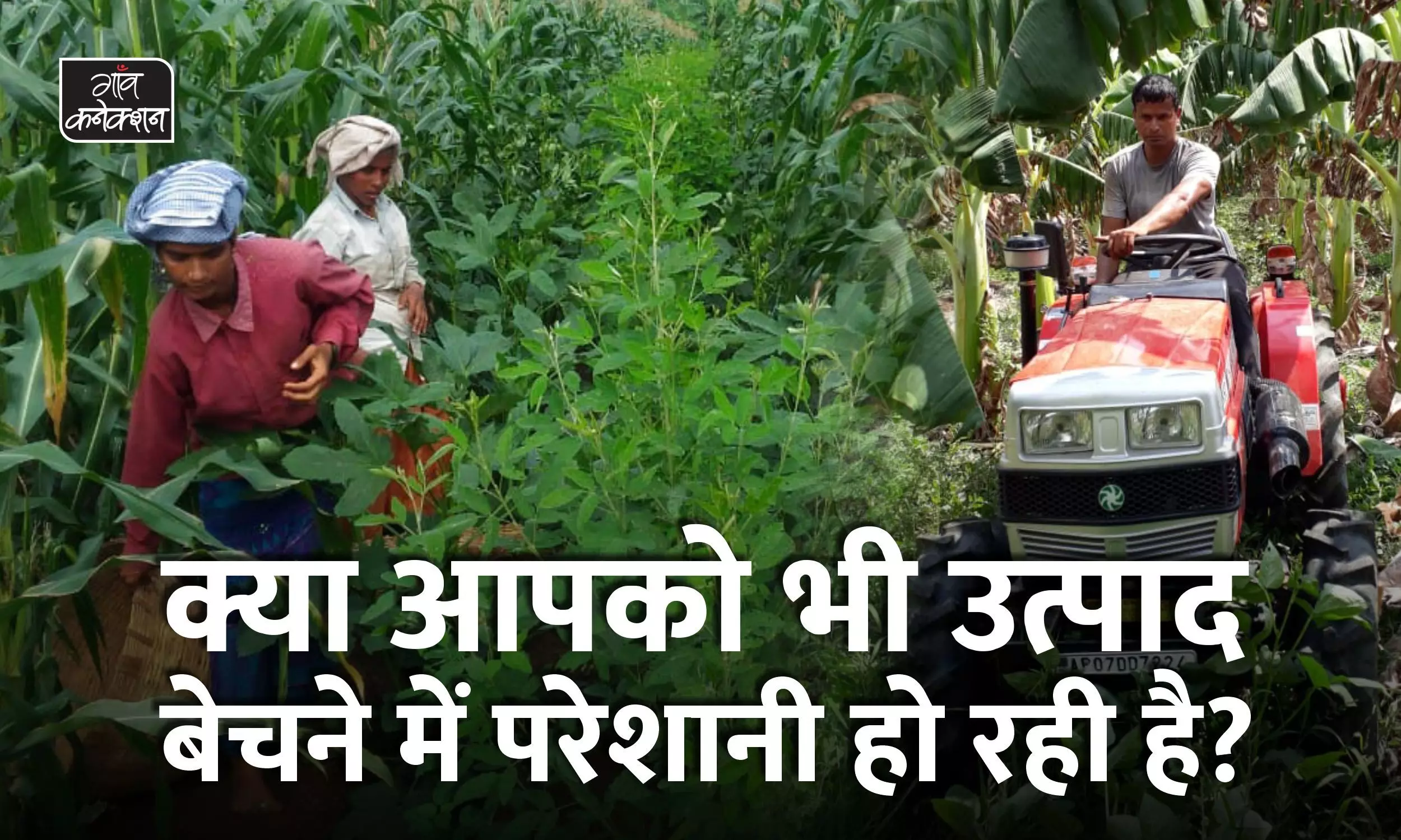 आंध्र प्रदेश: कैंसर से नाना की मौत के बाद जैविक खेती करने वाले किसान का दर्द लाखों किसान की कहानी है