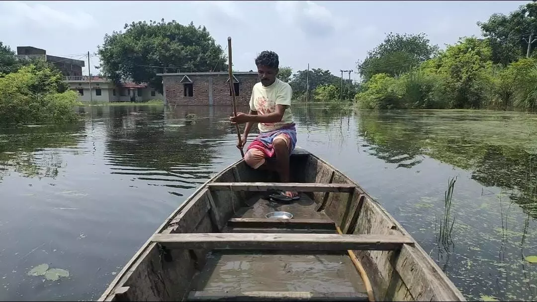 बिहार में बाढ़ से बर्बाद हुए मछली पालक किसानों की अनकही कहानियां