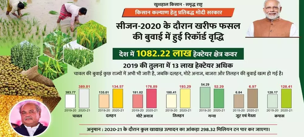 देश में इस साल खरीफ फसलों की रिकॉर्ड बुवाई, धान और दलहन का रकबा सबसे ज्यादा बढ़ा