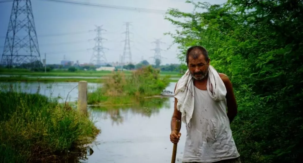 गुरुग्राम के जलभराव से दिल्ली के गांवों में हजारों एकड़ फसलें बर्बाद