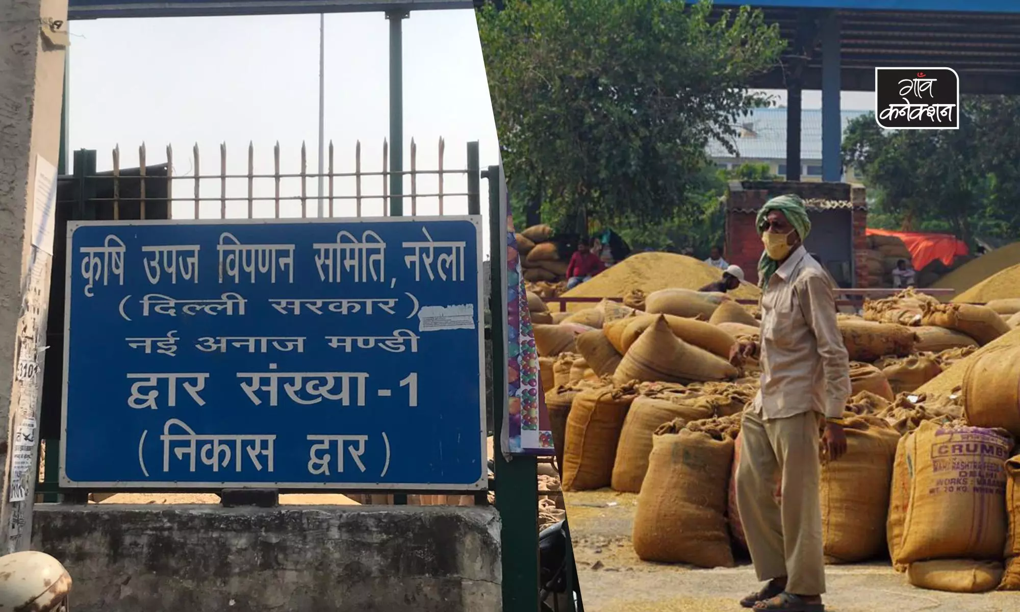 दिल्ली: किसानों को मजबूरी में कम दाम में बेचना पड़ रहा है धान, नहीं मिल रही है एमएसपी