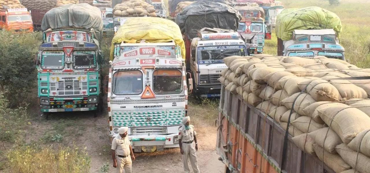पंजाब में लगातार हो रही धान तस्करी का भंडाफोड़, यूपी-बिहार से भेजा जा रहा धान