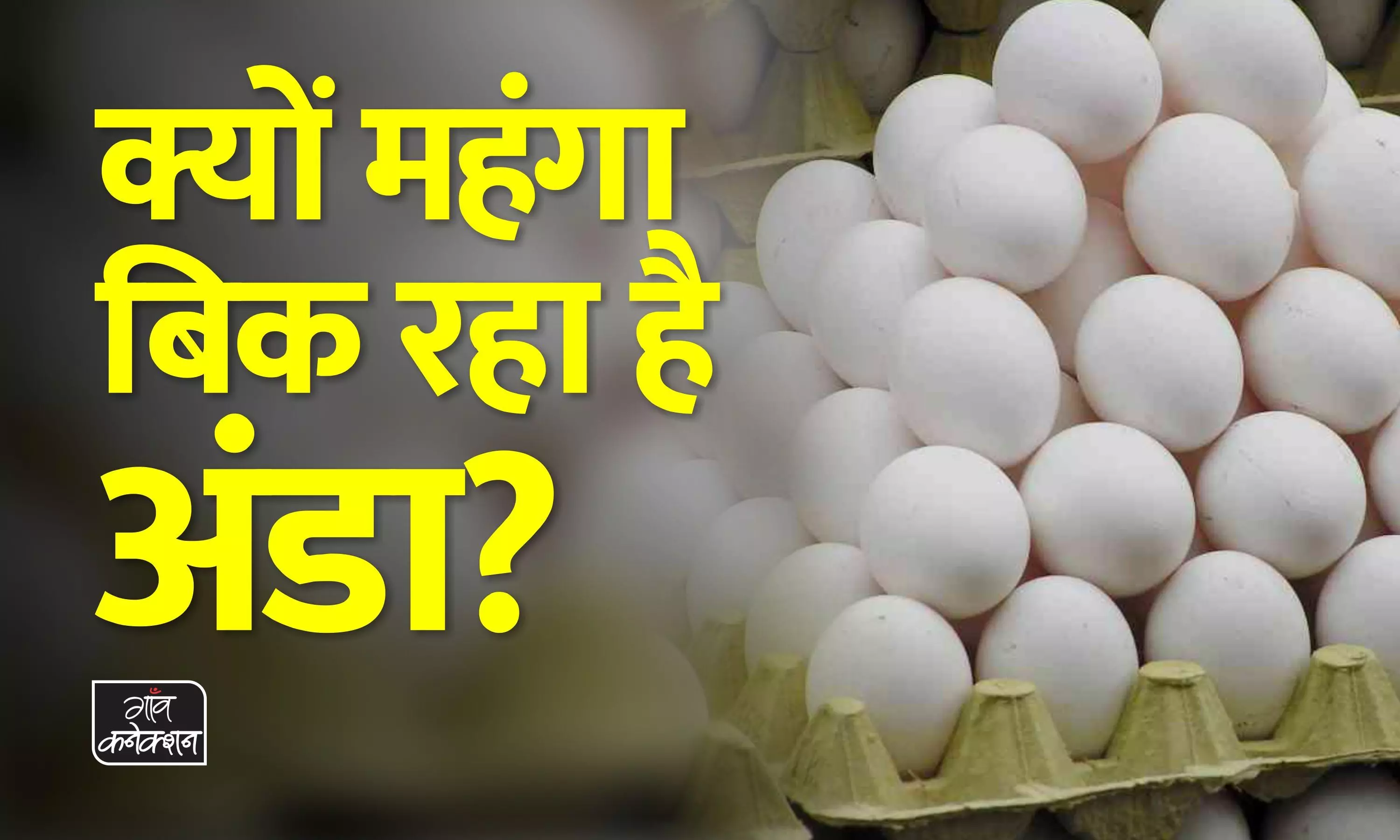 आलू प्याज के बाद महंगा बिक रहा अंडा, आने वाले दिनों में और भी बढ़ सकती है कीमत