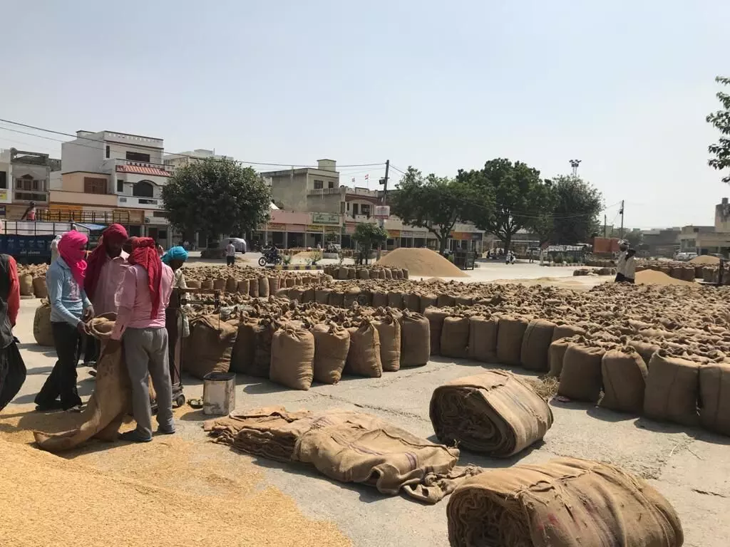 उत्तर प्रदेश: धान खरीद केंद्र पर लापरवाही बरतने पर विपणन अधिकारियों को किया गया निलंबित