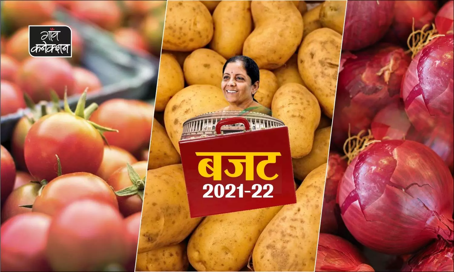 Aam budget News, Aam Budget 2021 Updates, latest Union Budget 2021 news, Budget 2021-22 India, What is special for farmers and agriculture sector in general budget, all updates and news in Hindi, Agriculture Sector and General Budget