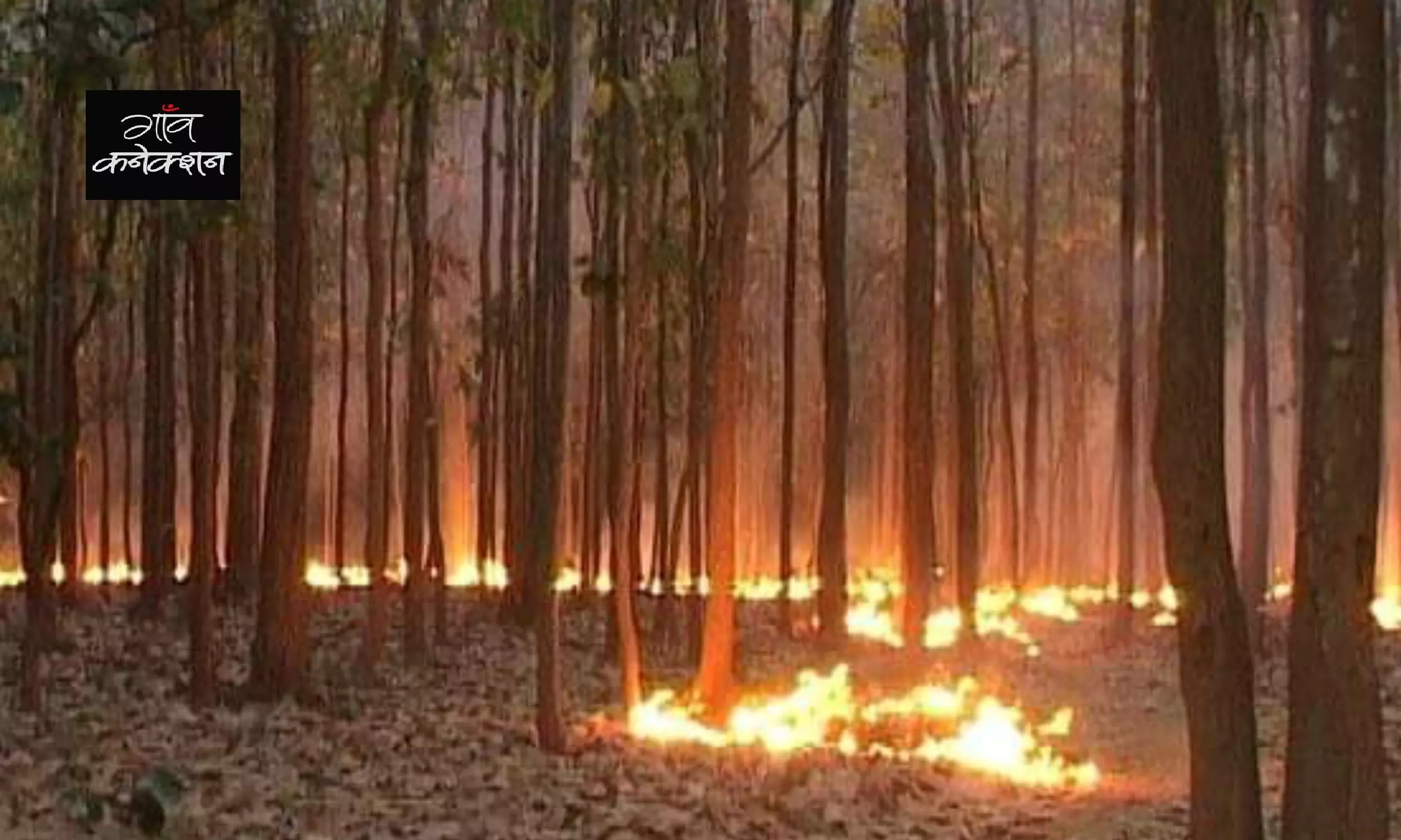 ओडिशा: आग की चपेट में सिमिलिपाल का जंगल और कुलडीहा अभ्यारण्य