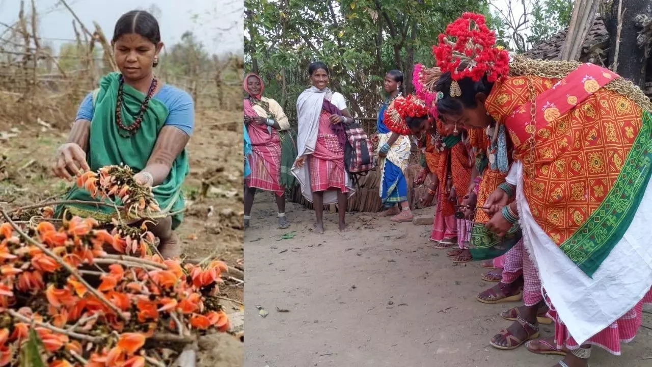 तस्वीरों में देखिए कैसे होली का त्योहार मनाते हैं छत्तीसगढ़ के आदिवासी
