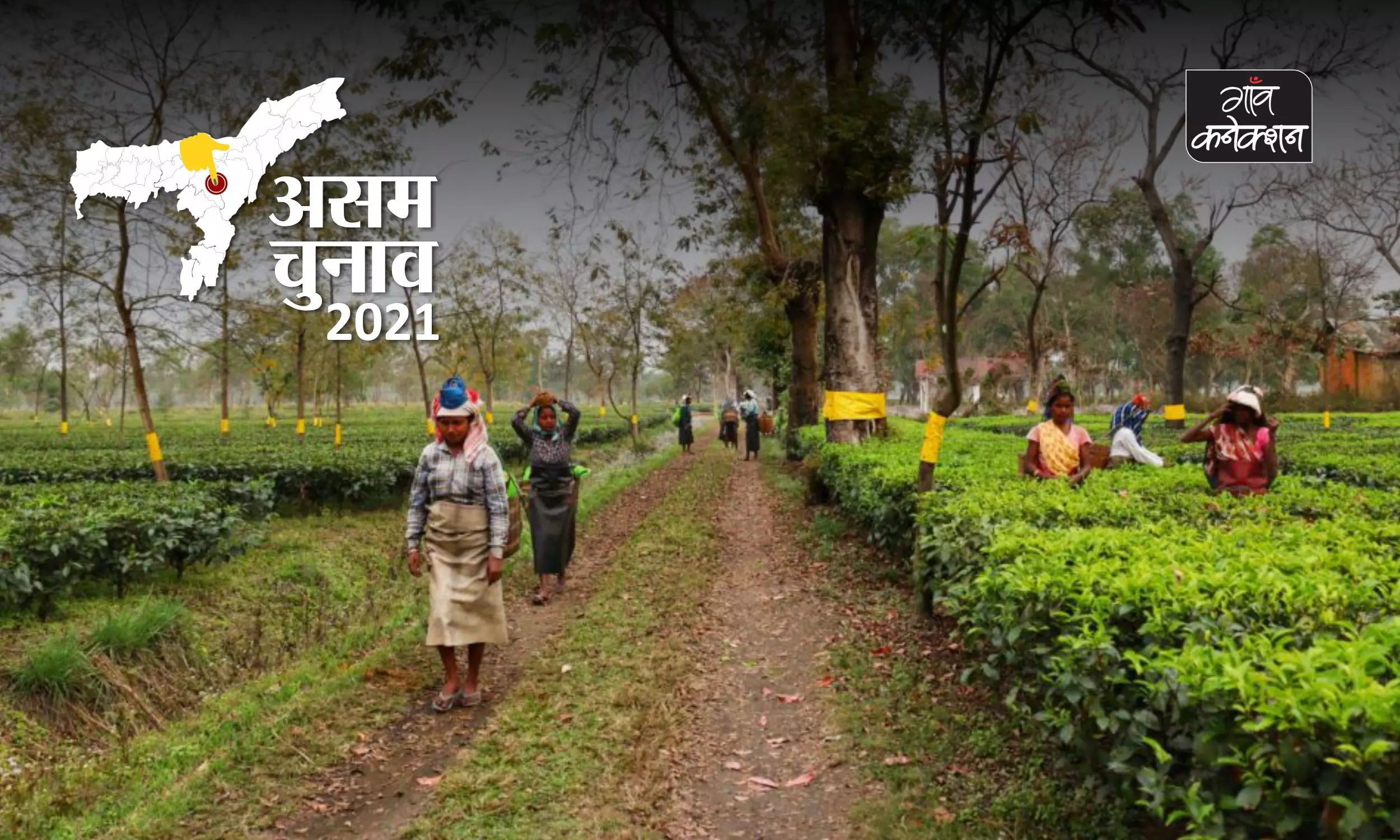 Assam Election 2021: The story of Assam’s tea workers and broken election promises