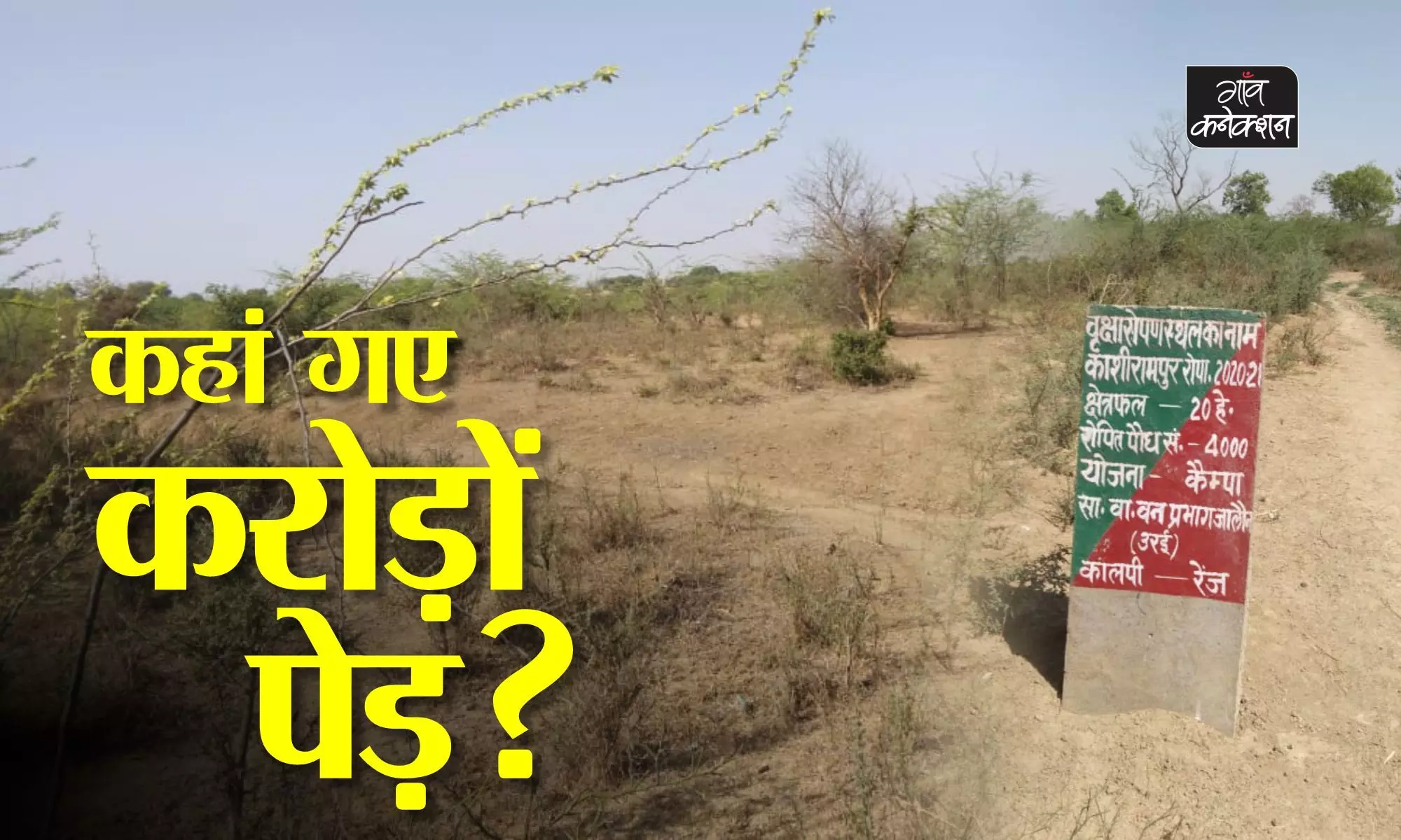 जमीन पर ढूढ़े नहीं मिल रहे कागजों पर लगे पौधे, सामाजिक कार्यकर्ता ने मुख्यमंत्री को चिट्ठी लिखकर की जांच की मांग