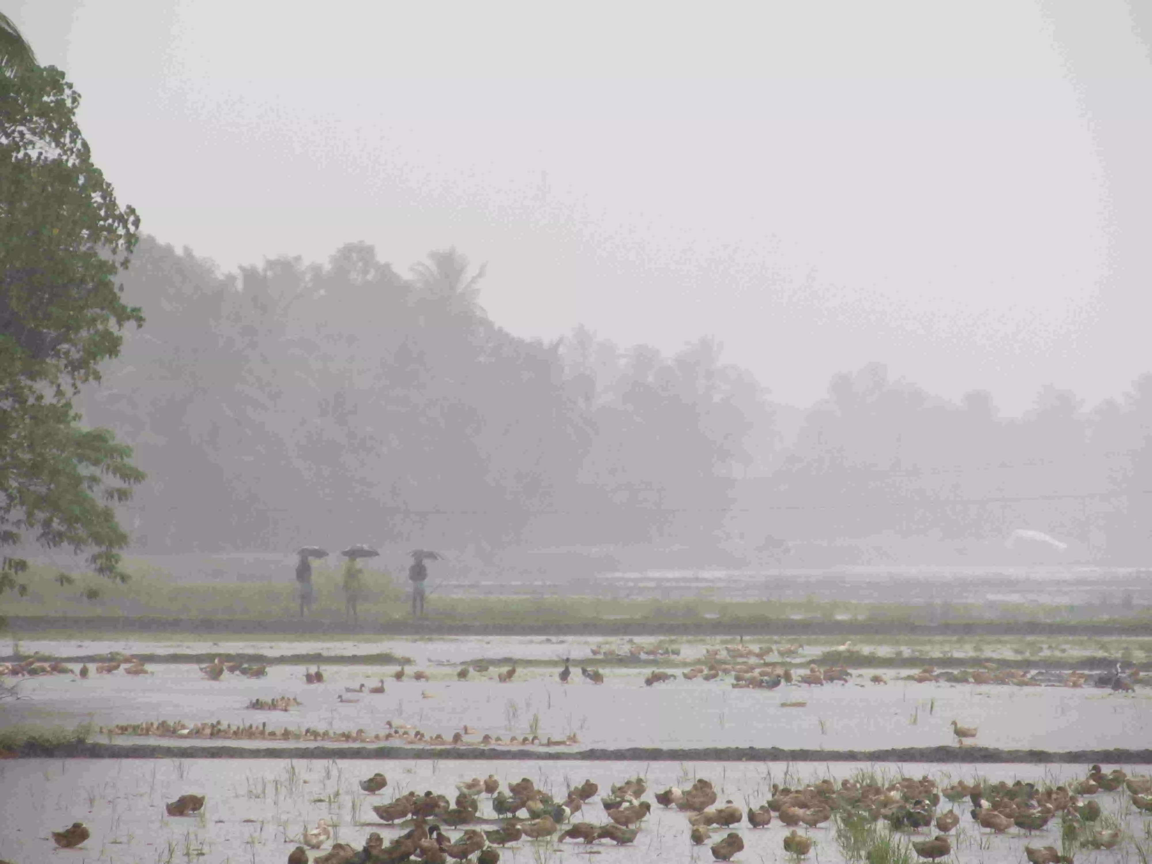 Monsoon 2021: मौसम विभाग ने जारी किया मानसून का पहला पूर्वानुमान, जानिए कैसा रहेगा मानसून
