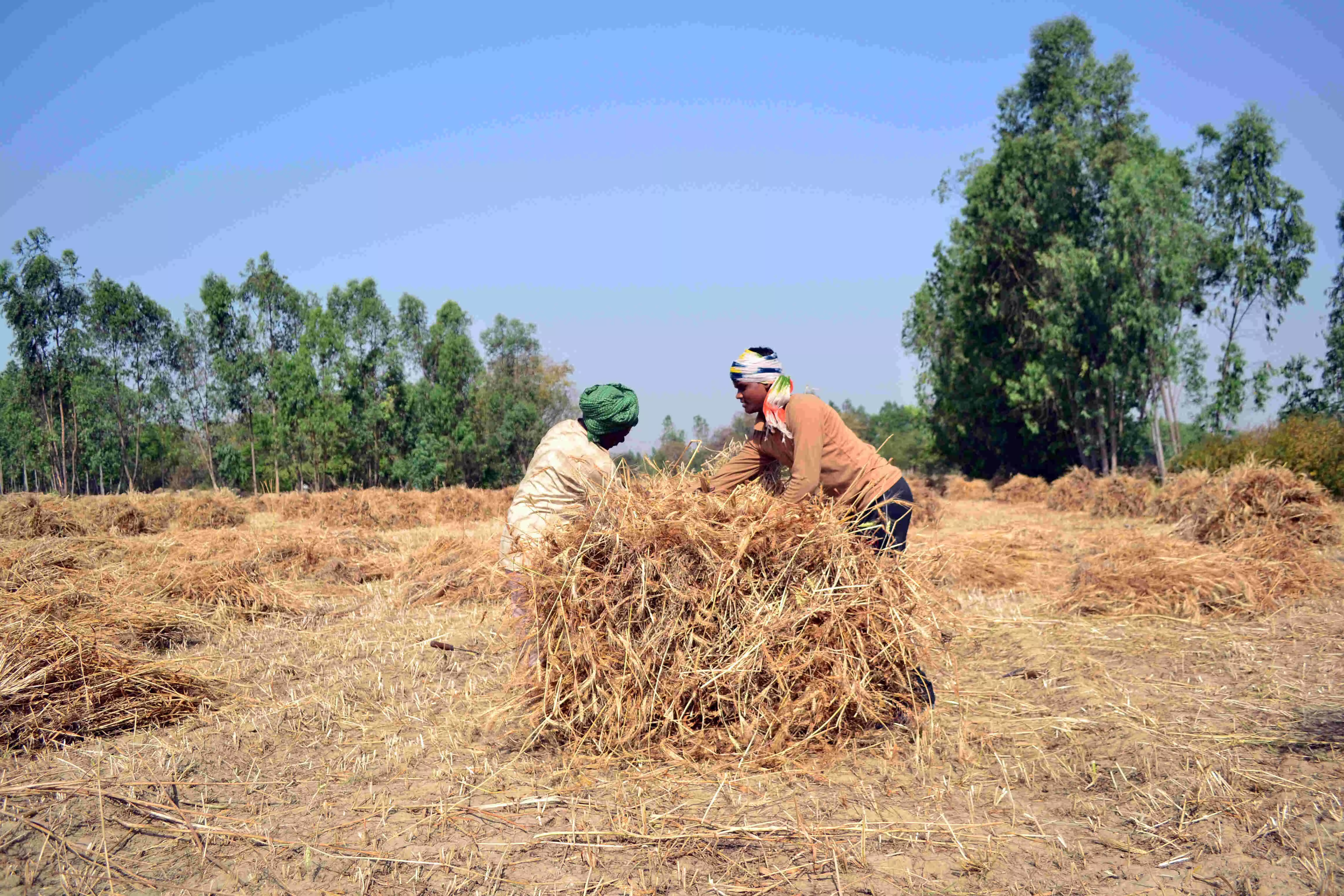 उत्तर प्रदेश के 2.67 करोड़ किसानों को हफ्तेभर के अंदर मिलेंगे पीएम किसान के 2000 रुपए