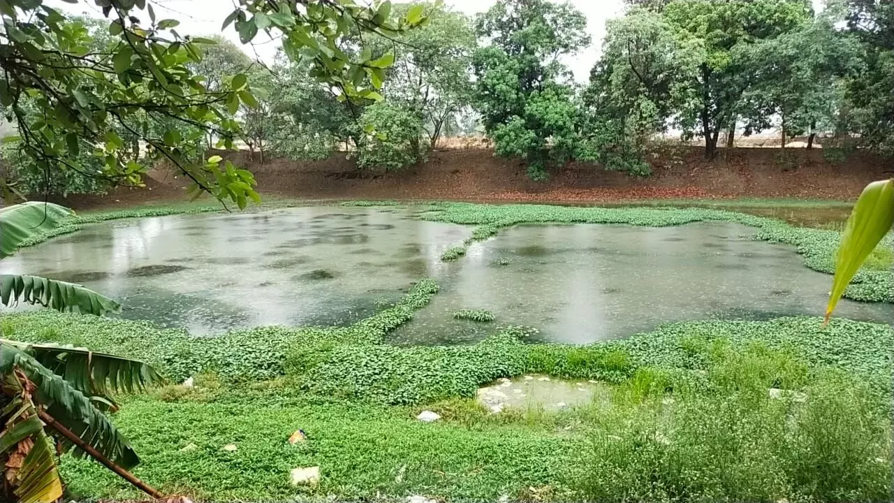उत्तर भारत में तौकते का असर: कई क्षेत्रों में हो रही बारिश, किसानों को रखना होगा इन बातों का ध्यान