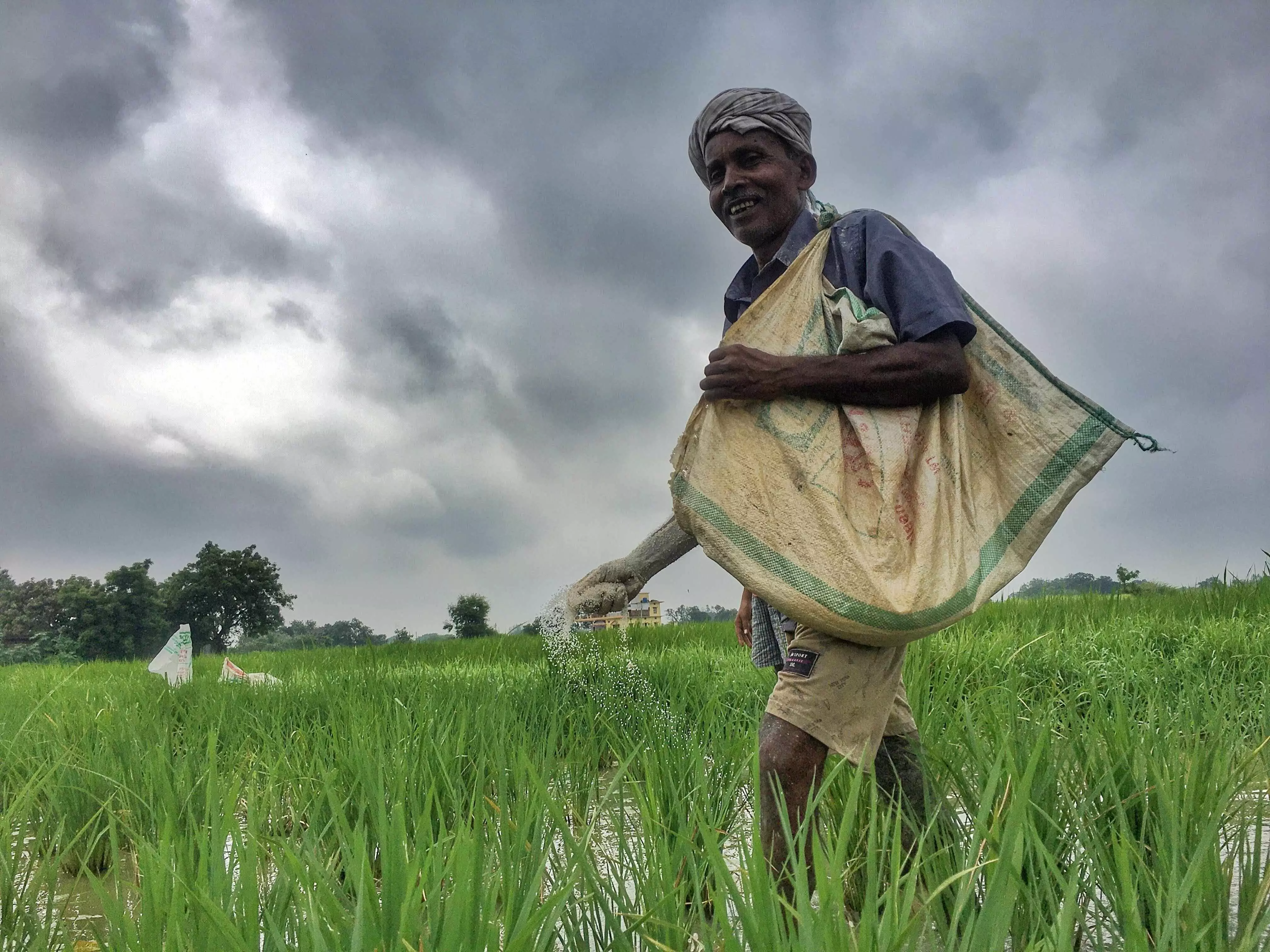 कैबिनेट का फैसला: वृक्षारोपण के लिए किसानों को भी मुफ्त पौधे देगी योगी सरकार
