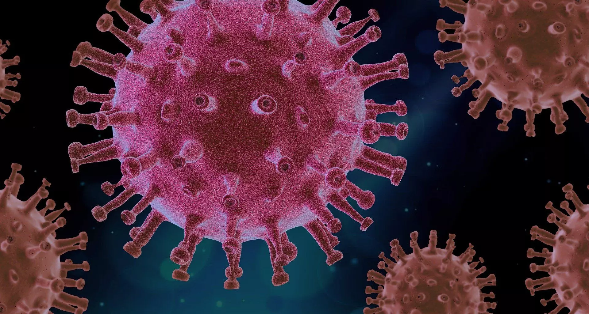 अक्टूबर में आ सकती है कोरोना वायरस की तीसरी लहर, राष्ट्रीय आपदा प्रबंधन संस्थान ने पीएमओ को दी रिपोर्ट