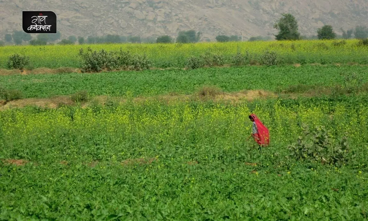 राजस्थान: जैविक खेती करने वाले किसानों की मदद करेगा राज किसान जैविक मोबाइल ऐप