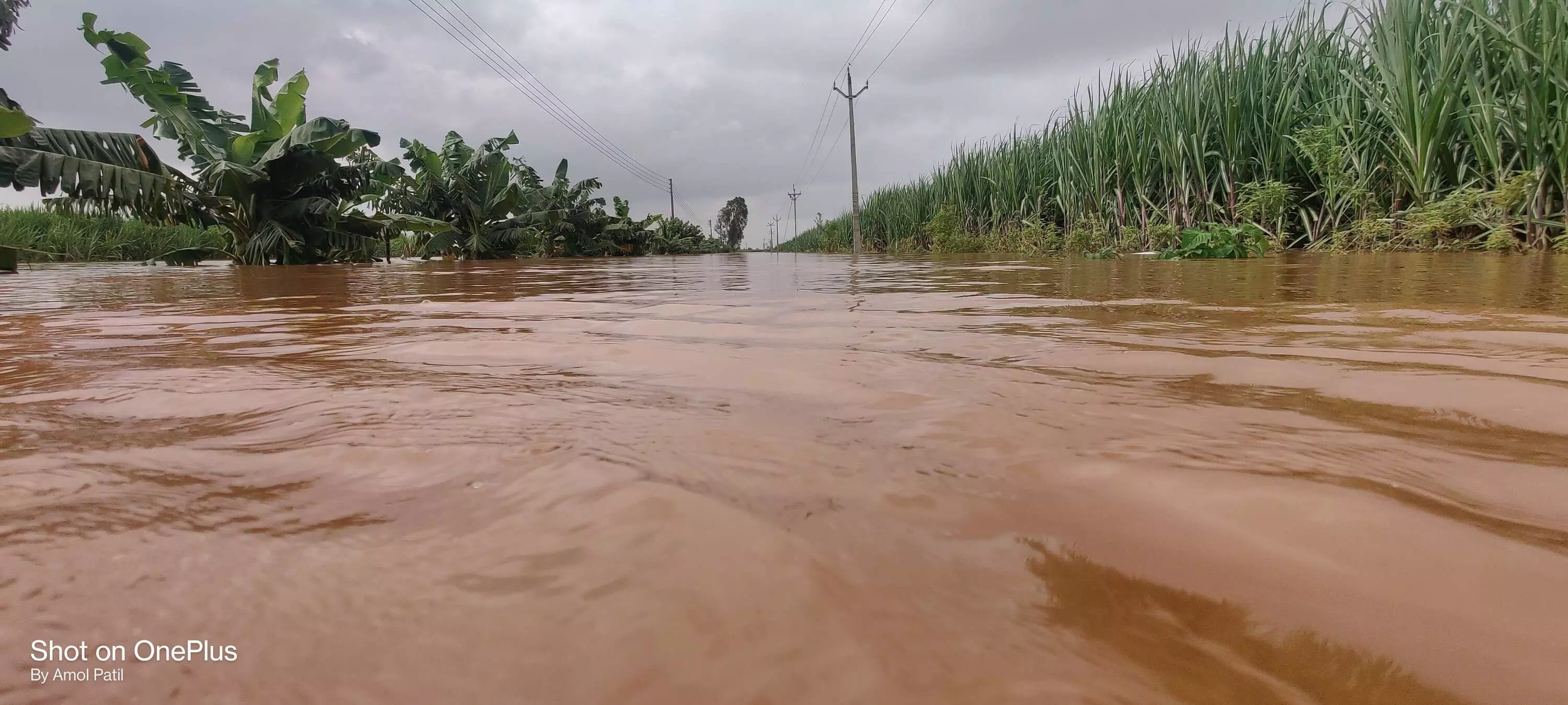 बाढ़ और मौसमी तबाही: 2020-21 में कर्नाटक और महाराष्ट्र में हुआ था फसलों को सबसे ज्यादा नुकसान, इस साल भी कई राज्य चपेट में