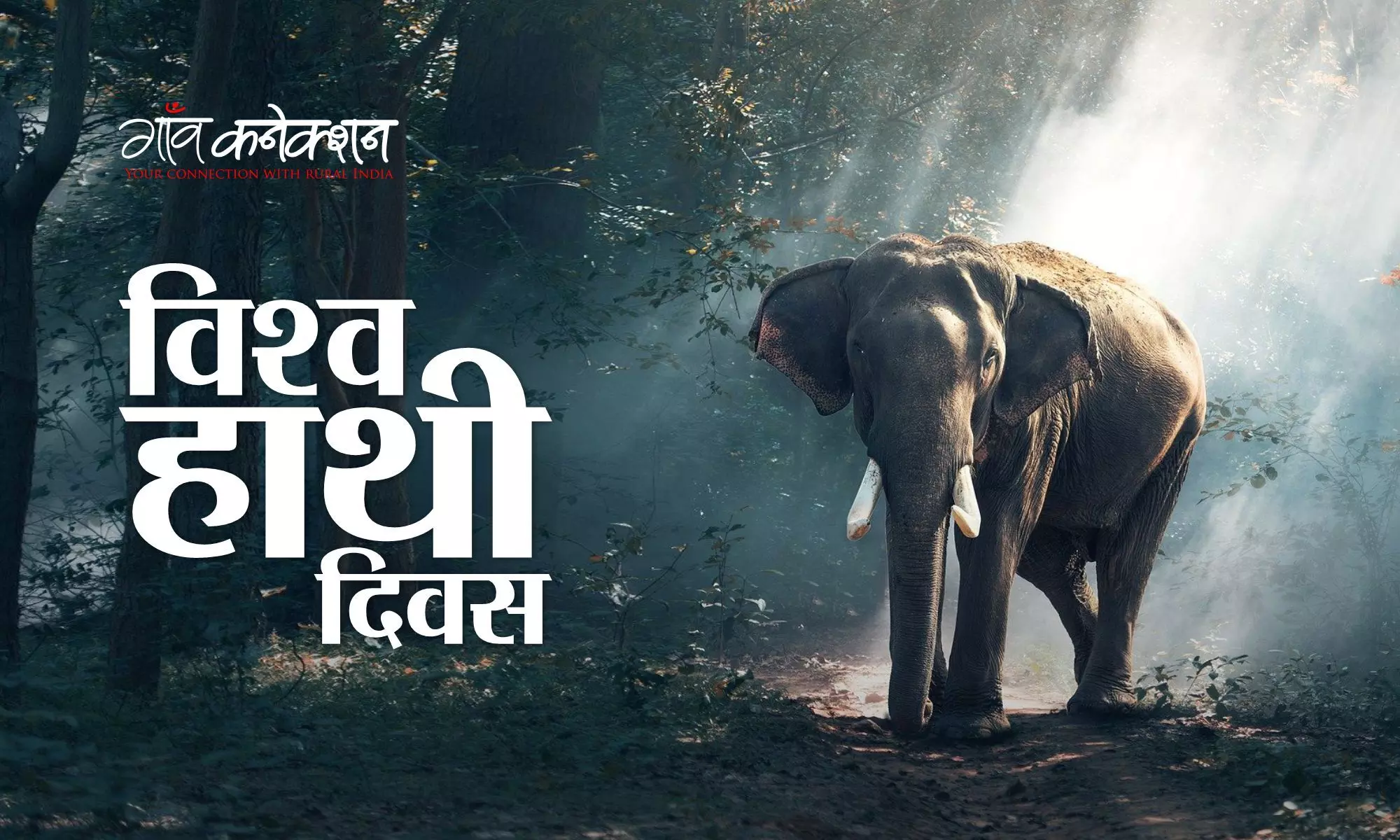 विश्व हाथी दिवस: हाथियों को बचाएंगे या फिर कोयले से मुनाफा कमाएंगे?