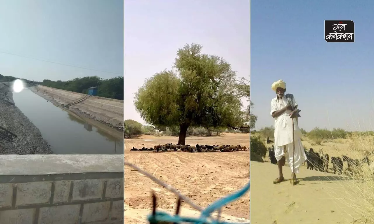 जैसलमेर: बारिश न होने से पश्चिमी राजस्थान में सूखा, गहरा रहा अकाल का संकट