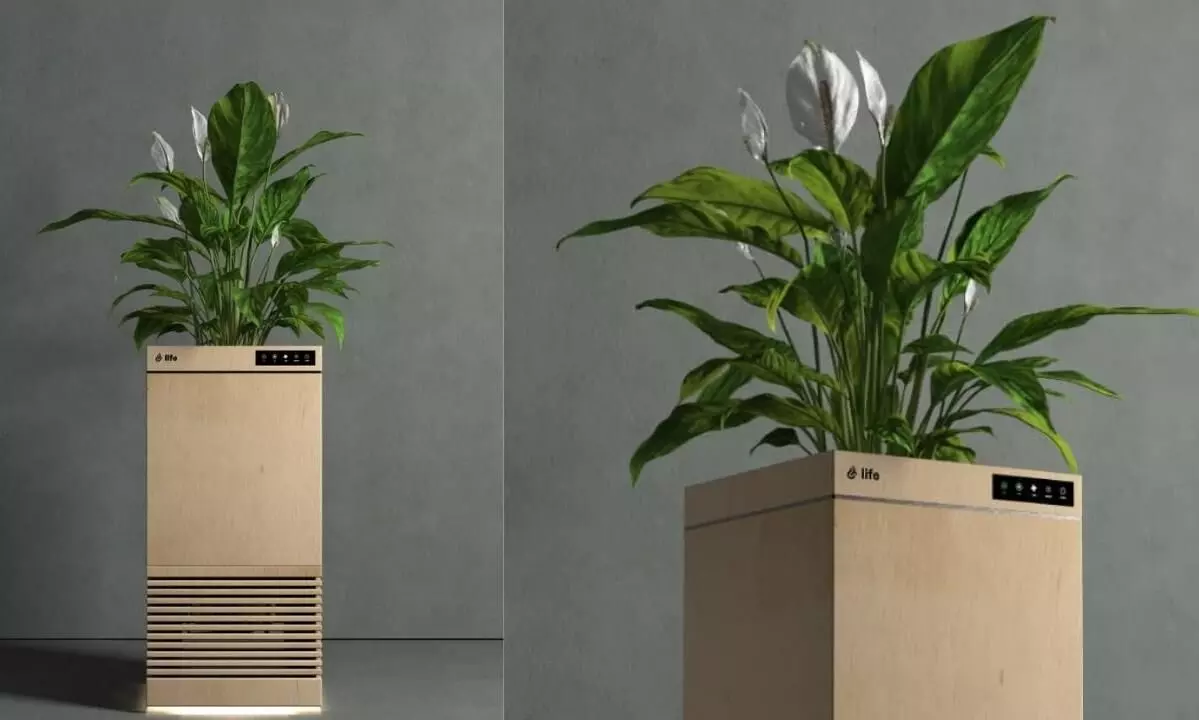 विश्व का पहला स्मार्ट एयर-प्यूरीफायर, जो पौधों की मदद से शुद्ध करेगा आपके घर के अंदर की हवा