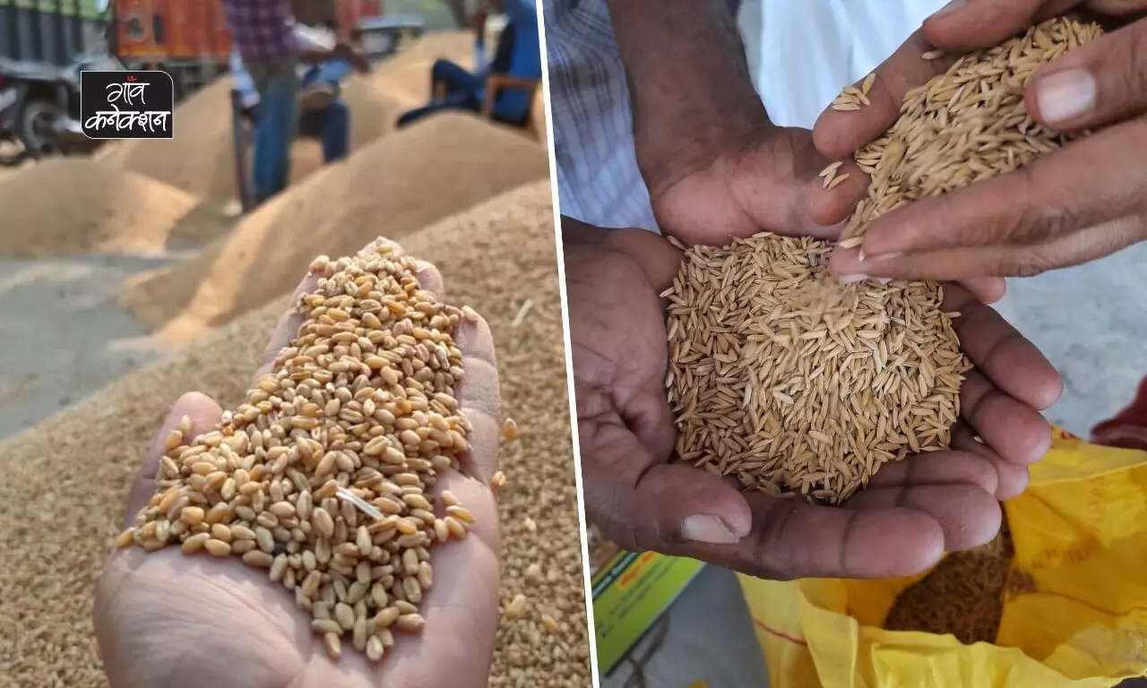 देश में 107 मिलियन टन रिकॉर्ड चावल उत्पादन का अनुमान, गेहूं का लक्ष्य 110 मिलियन टन