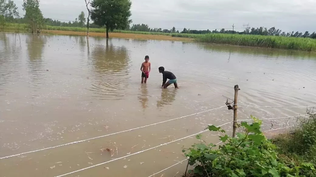 हवाओं ने बिगाड़ी मौसम की चाल, उत्तराखंड और नेपाल से सटे यूपी के इलाकों में अलर्ट, अगले 24 घंटे में बिहार में भारी बारिश की चेतावनी