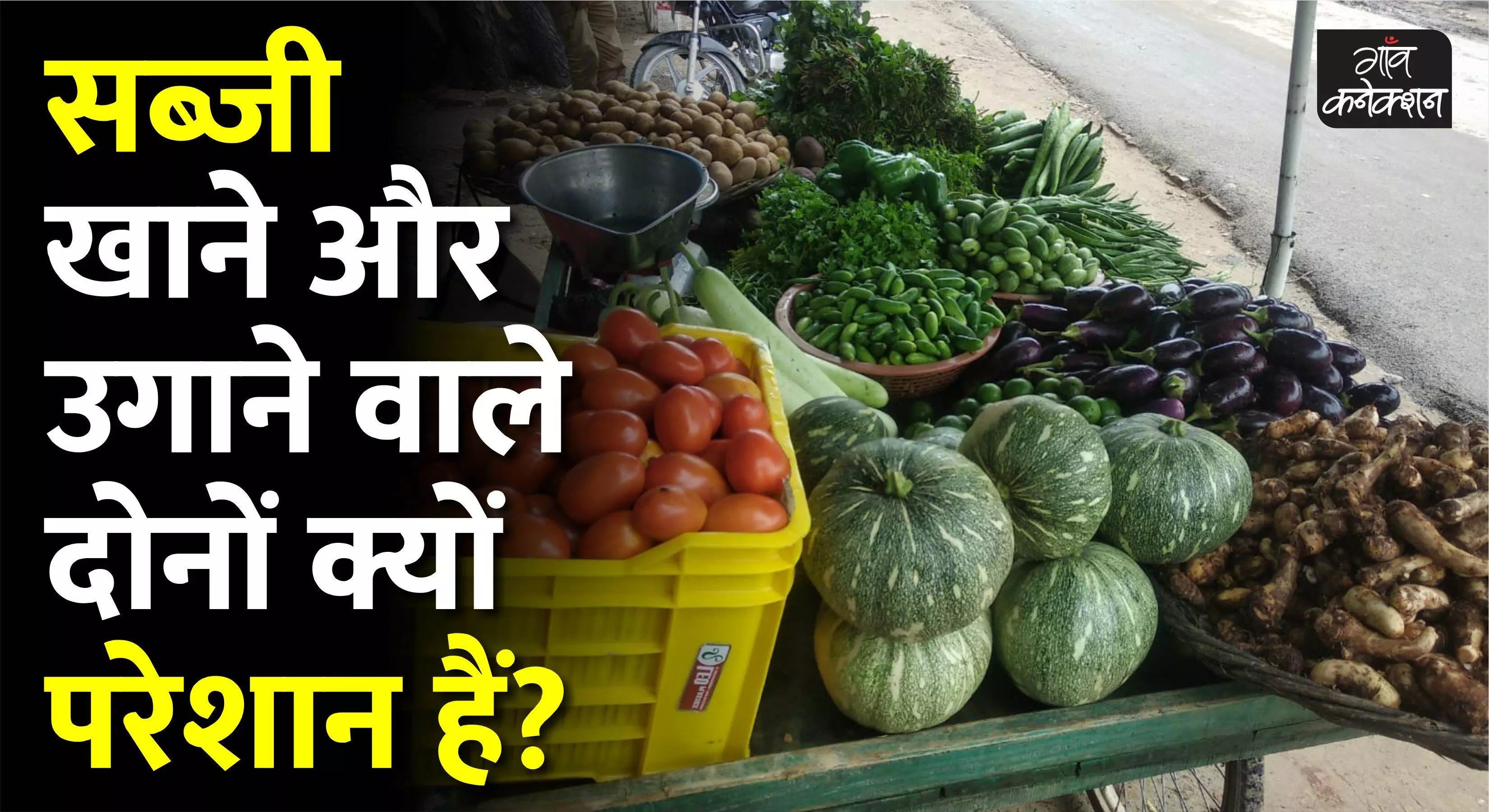सब्जियों की फसल बर्बाद होने से किसान और उपभोक्ता दोनों पर पड़ रही मार, लगभग दोगुने हुए हरी सब्जियों के दाम
