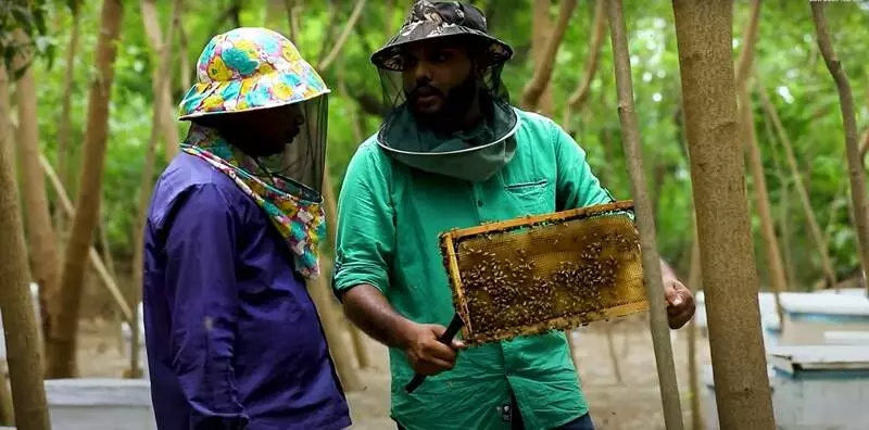 स्लो बाजार का ऑर्गेनिक मधुमक्खीवाला शहद, लीची से लेकर सरसों तक के स्वाद की मिठास