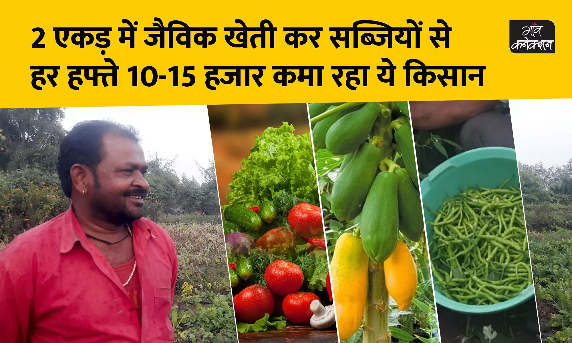 2 एकड़ में सब्जियों की जैविक खेती से हर हफ्ते 10-15 हजार कमा रहा ये किसान