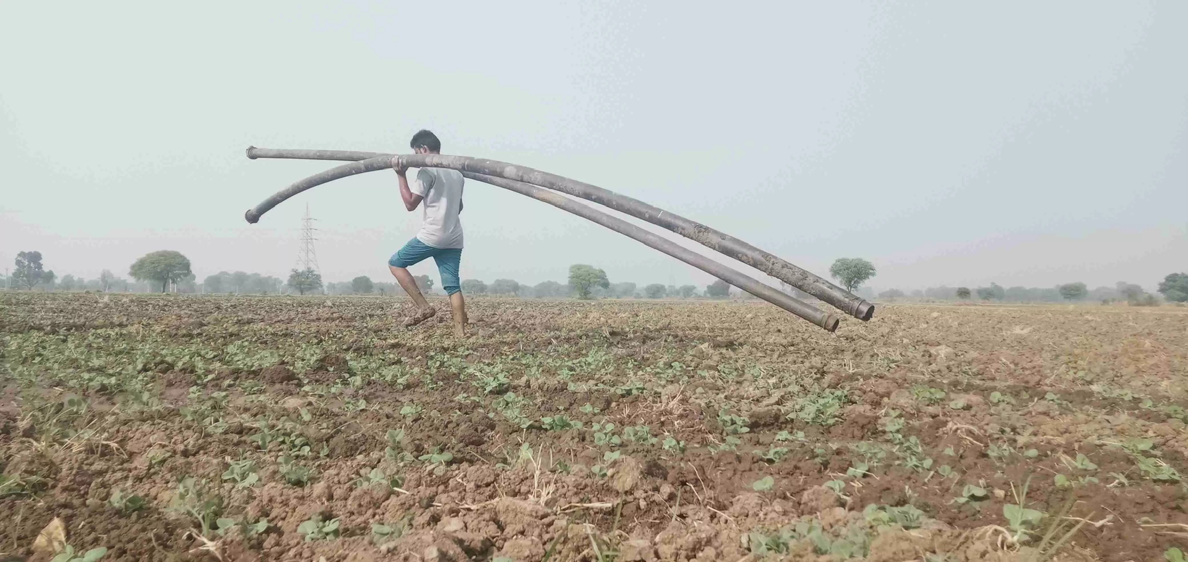 बुंदेलखंड: ललितपुर में किसानों ने कहा, आने जाने का खर्चा जोड़ लिया जाए तो डीएपी की बोरी 2000 रुपए की पड़ती है