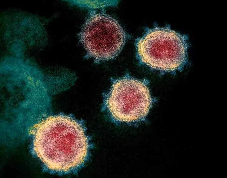 कोरोना वायरस जीनोमिक निगरानी के प्रयासों में तेजी