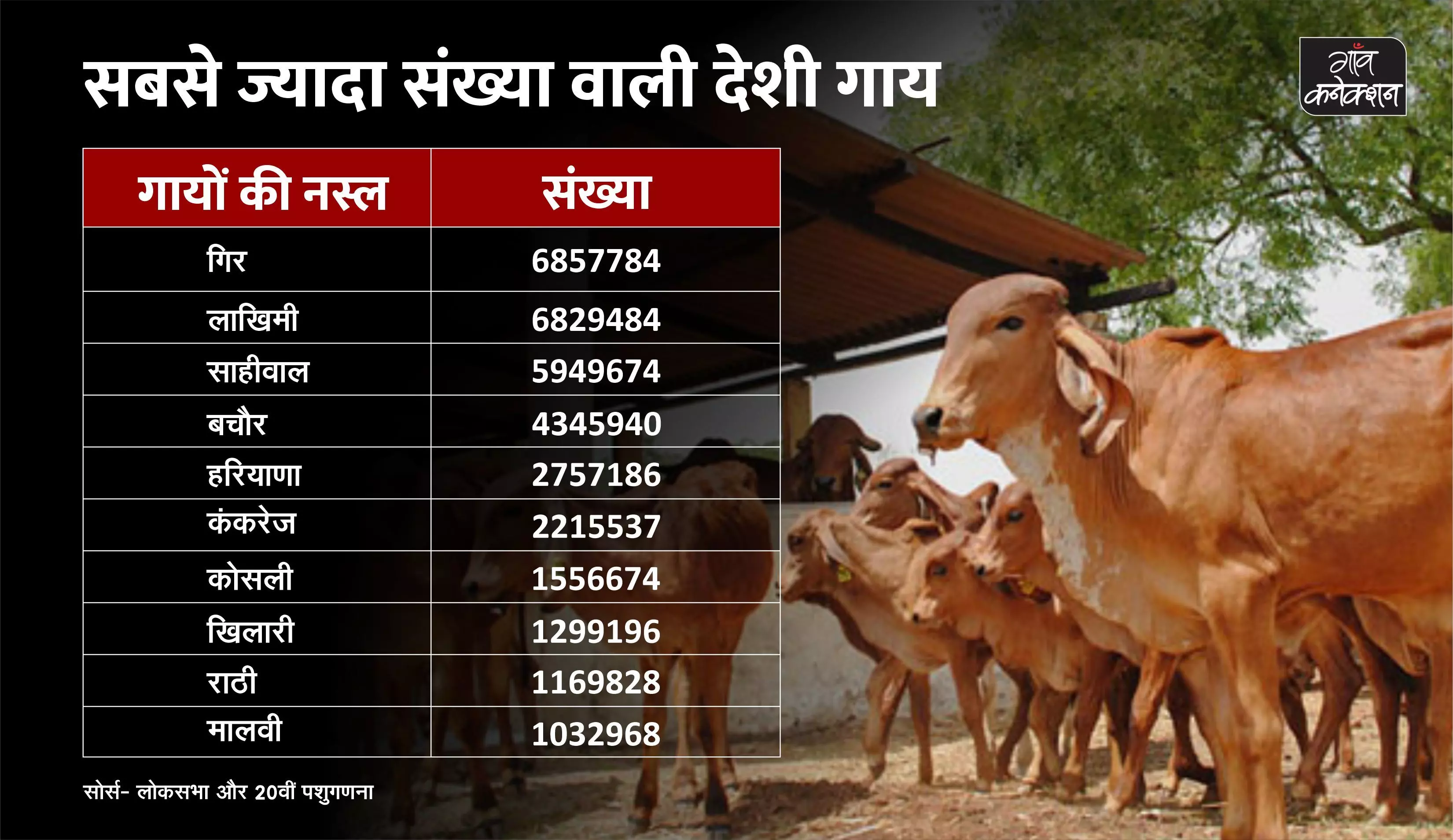 ये हैं भारत में पाई जाने वाले गायों की 50 देसी नस्लें, जानिए गिर,साहीवाल या सिंधी में किसकी संख्या है ज्यादा