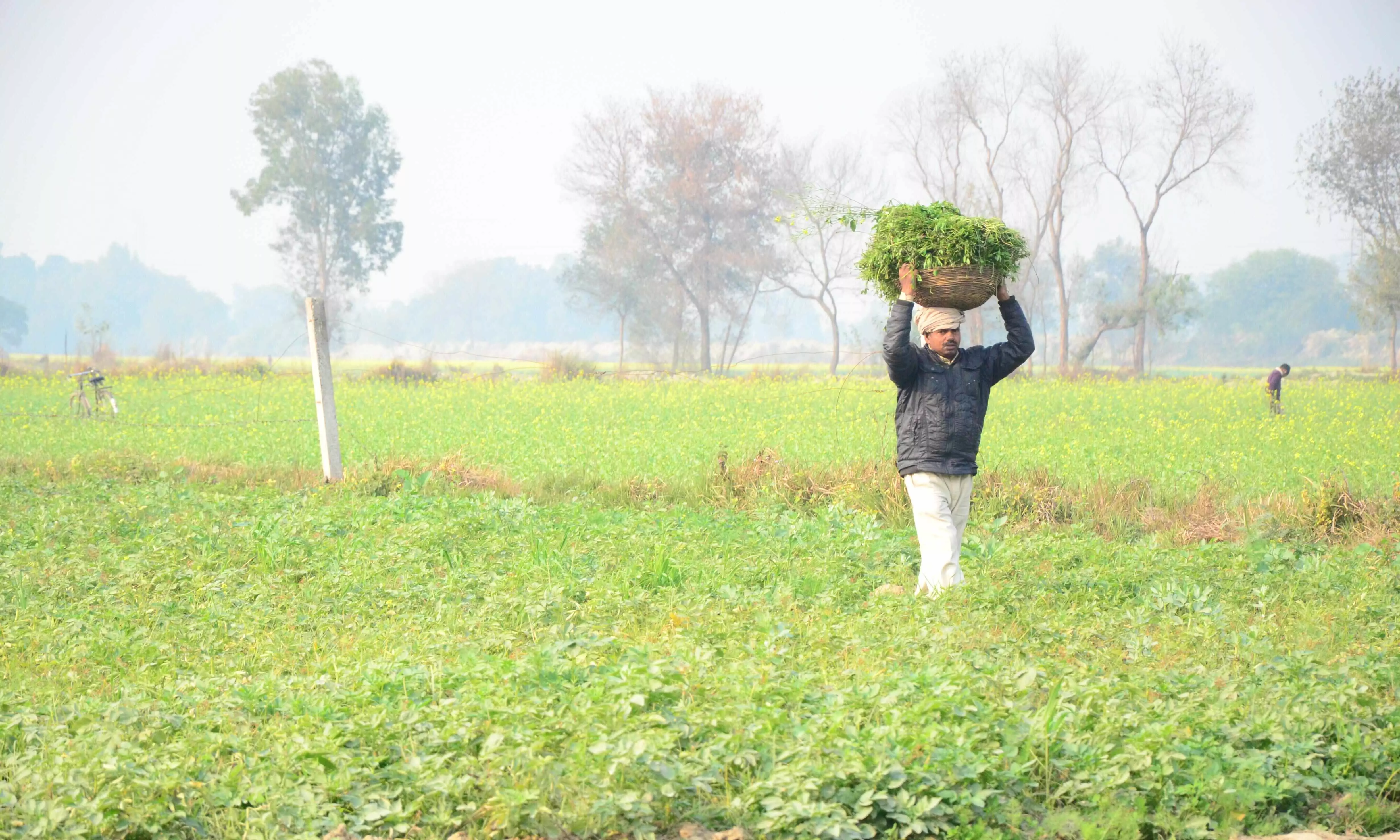 प्रगतिशील किसानों को सम्मानित करेगी हरियाणा सरकार, 15 जनवरी तक कर सकते हैं आवेदन