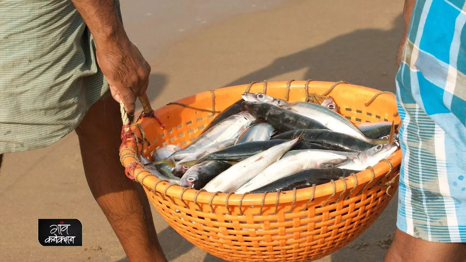 फिशरीज स्टार्टअप ग्रैंड चैलेंज: मछली पालन और उससे संबंधित व्यवसाय से जुड़े लोग कर सकते हैं आवेदन