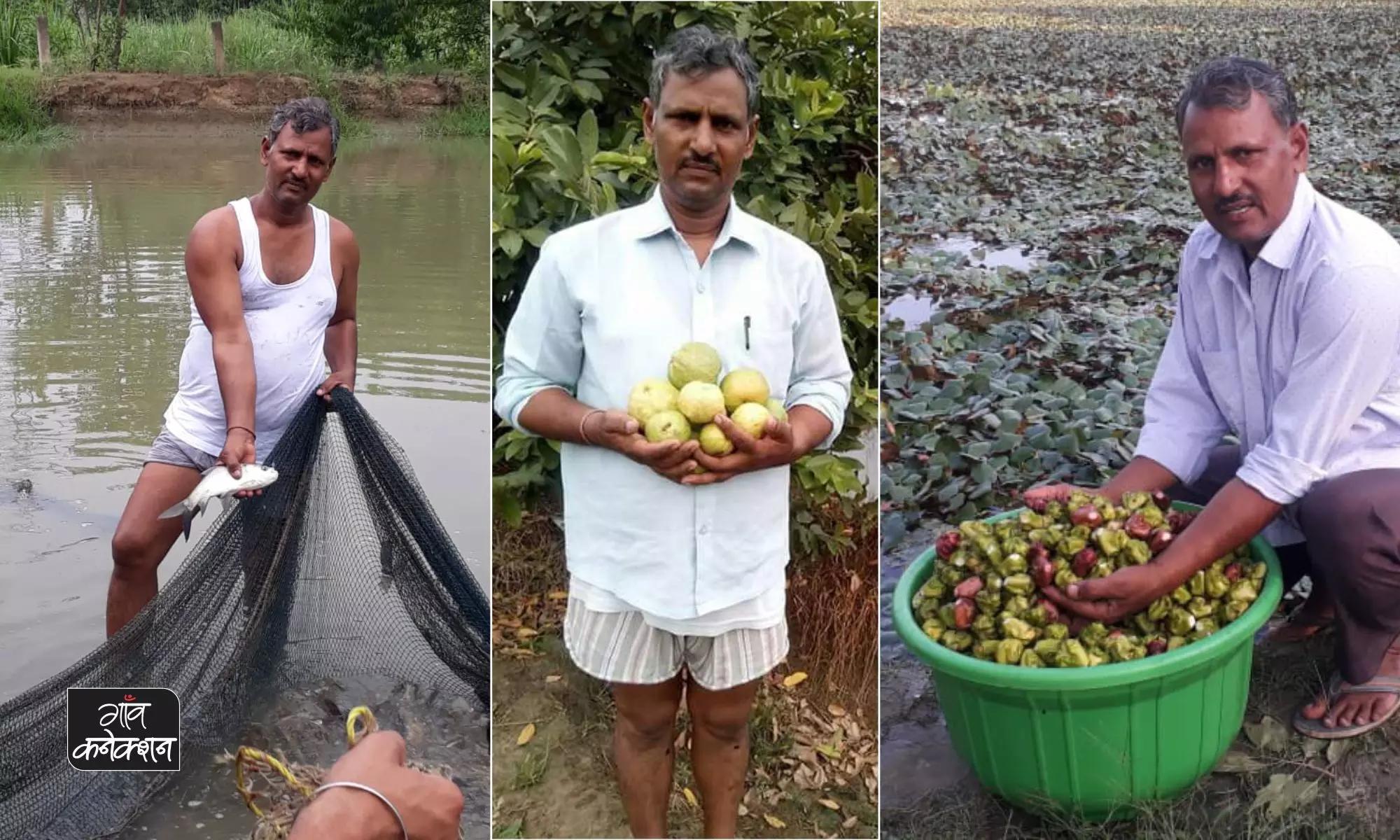 प्रगतिशील किसान सेठपाल सिंह को मिला पद्मश्री पुरस्कार, बीएससी के बाद खेती शुरु करने वाले किसान की कहानी