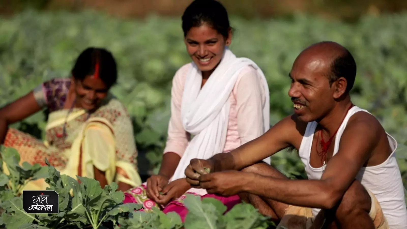 पीएम किसान योजना के 3 साल पूरे होने पर प्रधानमंत्री नरेंद्र मोदी ने क्या कहा? अगली किस्त से पहले कर लेें ये काम