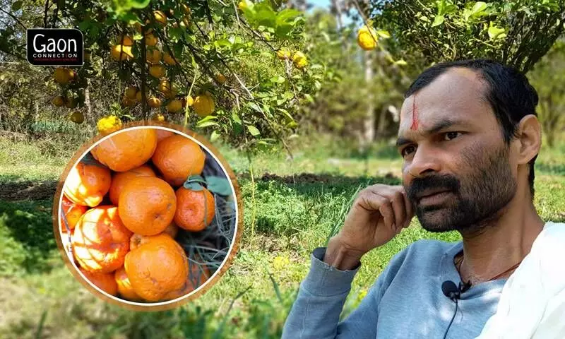 A farmer in Madhya Pradesh gives up grain cultivation in order to grow oranges and now reaps better profits