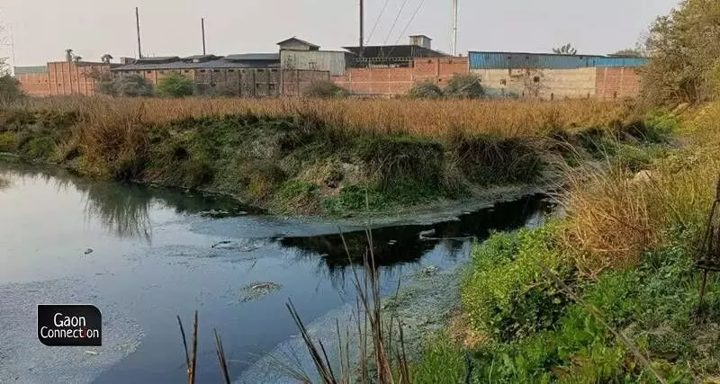 UP elections: Effluents from the agro-park dumped into the Naad river causing illness in villagers of poll-bound Varanasi