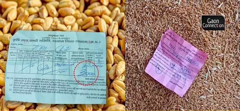 Russia-Ukraine war has wheat crop rates soaring in India; unprecedented prices, say farmers