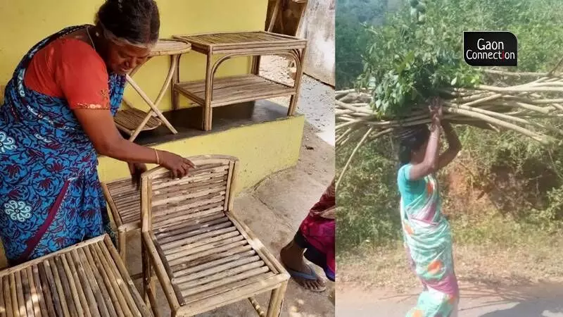 Irula tribes in Tamil Nadu make furniture out of the invasive Lantana