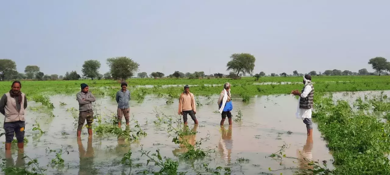 उत्तर प्रदेश: बाढ़ और बारिश से फसल नुकसान की भरपाई के लिए 16.26 लाख किसानों को 585 करोड़ रुपए का मुआवजा