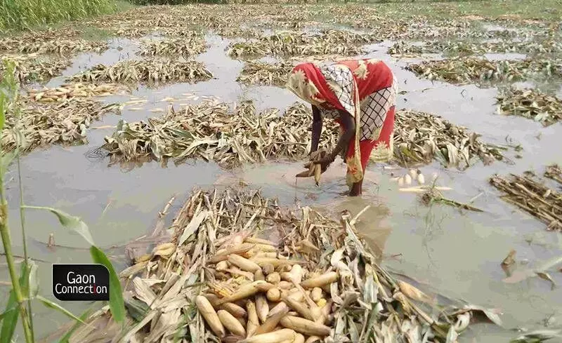 Uttar Pradesh govt announces Rs 585 crores relief package for crop loss due to unseasonal rains, floods