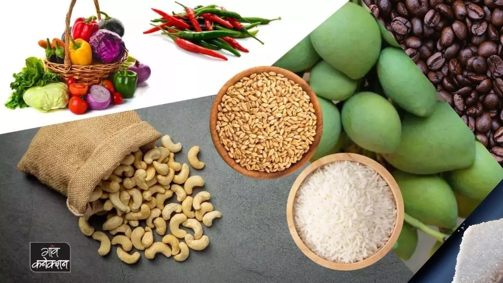 रिकॉर्ड स्तर पर पहुंचा भारत का कृषि निर्यात, चावल, गेहूं, चीनी का किया गया सबसे अधिक निर्यात