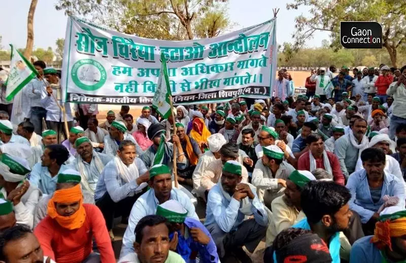 Sonchiraiya ruffles feathers of residents of 32 villages in Madhya Pradesh; demand for sanctuary denotification grows louder