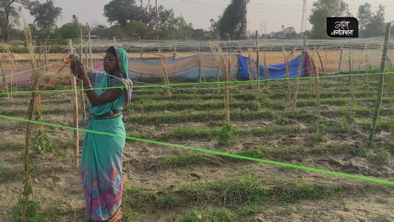 ग्रामीणों महिलाओं ने परंपरागत खेती को छोड़कर अपनायी नई तकनीक, अब जंगली जानवरों और बाढ़ से नहीं होगा फसलों को नुकसान